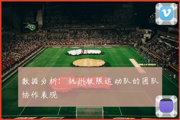 数据分析：杭州极限运动队的团队协作表现