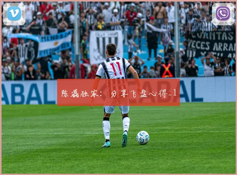 陈磊独家：分享飞盘心得_1