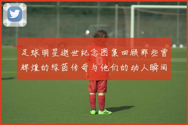 足球明星逝世纪念图集回顾那些曾辉煌的绿茵传奇与他们的动人瞬间