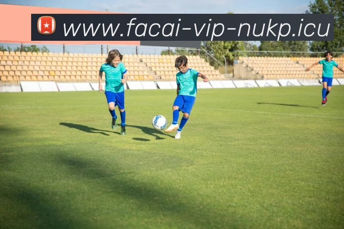 九游体育平台生态图